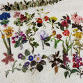 40pcs/pack Vintage Flower Illustration Stickers