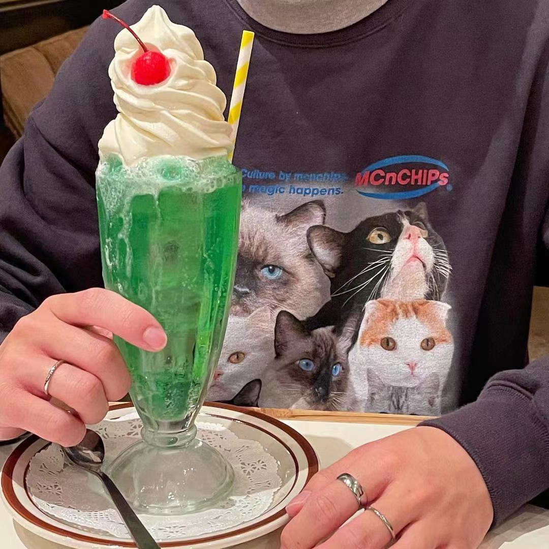 Egirl Aesthetic Meme Cats Print Oversized Sweatshirt